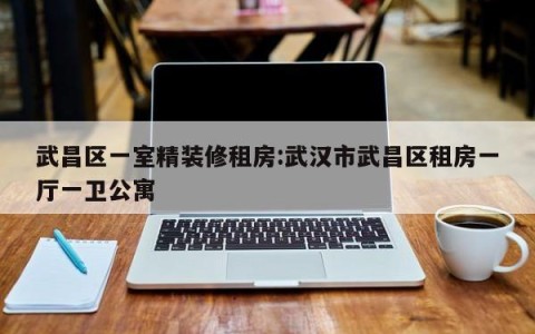 武昌区一室精装修租房:武汉市武昌区租房一厅一卫公寓